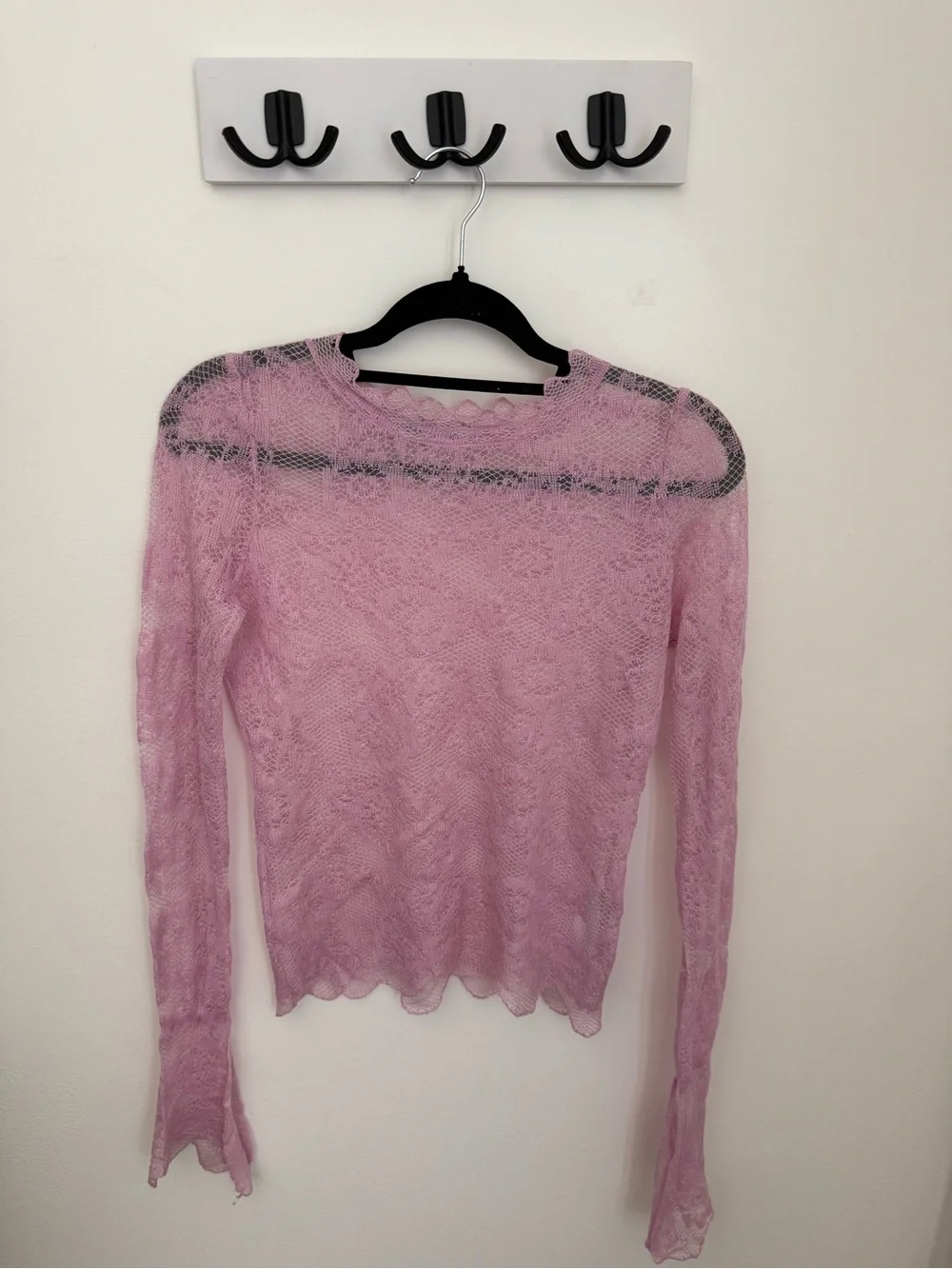 Zara Pale Pink Sheer Lace Long-Sleeve Top